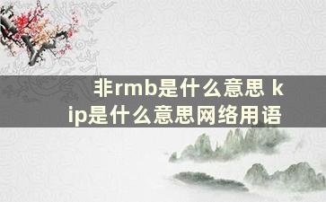 非rmb是什么意思 kip是什么意思网络用语